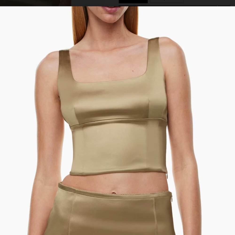 Aritzia Ten Shine Satin Bustier - XS / TP - Pink Rose NWT